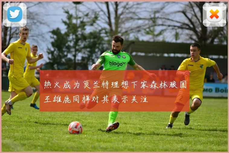 热火成为莫兰特理想下家森林狼国王雄鹿同样对其表示关注