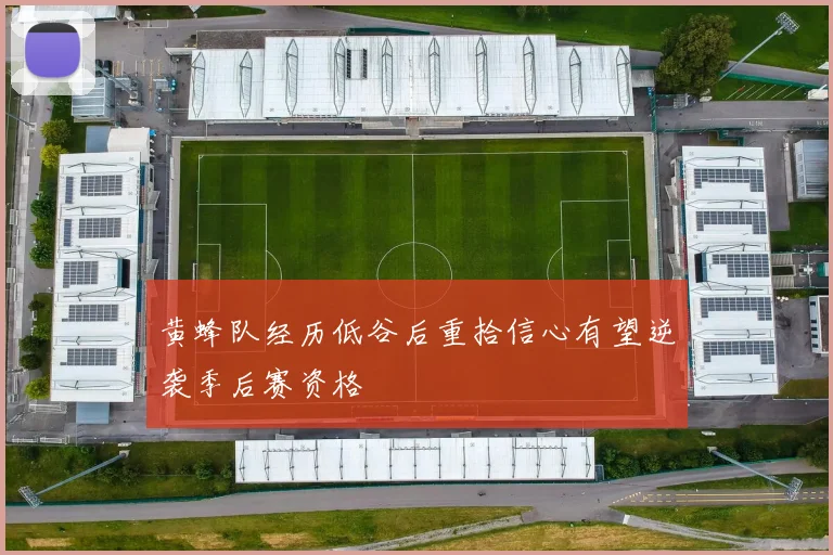 黄蜂队经历低谷后重拾信心有望逆袭季后赛资格