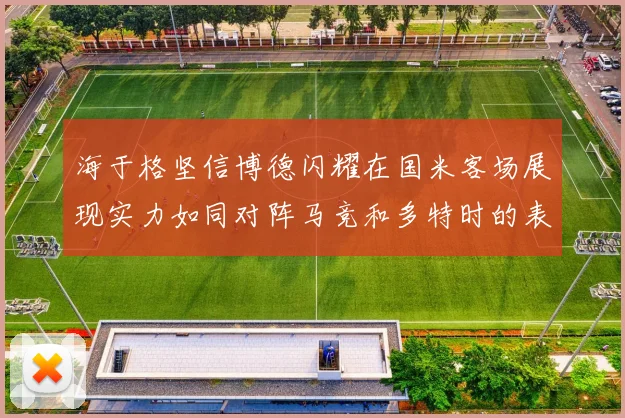 海于格坚信博德闪耀在国米客场展现实力如同对阵马竞和多特时的表现
